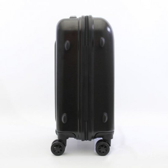 ミッフィーのスーツケース