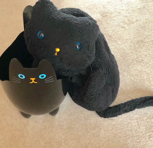 にゃ んとびっくり 黒猫の秘密 Perfect World Tokyo