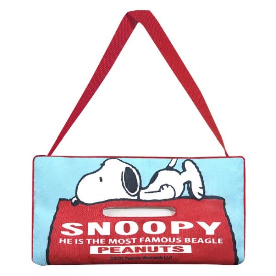 Snoopy Car Accessories