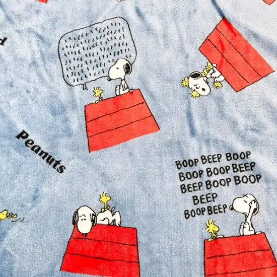 Snoopy blanket