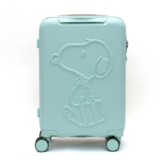 Snoopy Carry Case 
