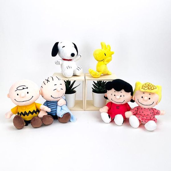 Snoopy Lifestyle Products