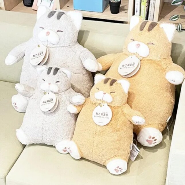 ねこ肯定感